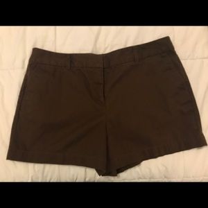 Ann Taylor LOFT brown shorts — Size 12